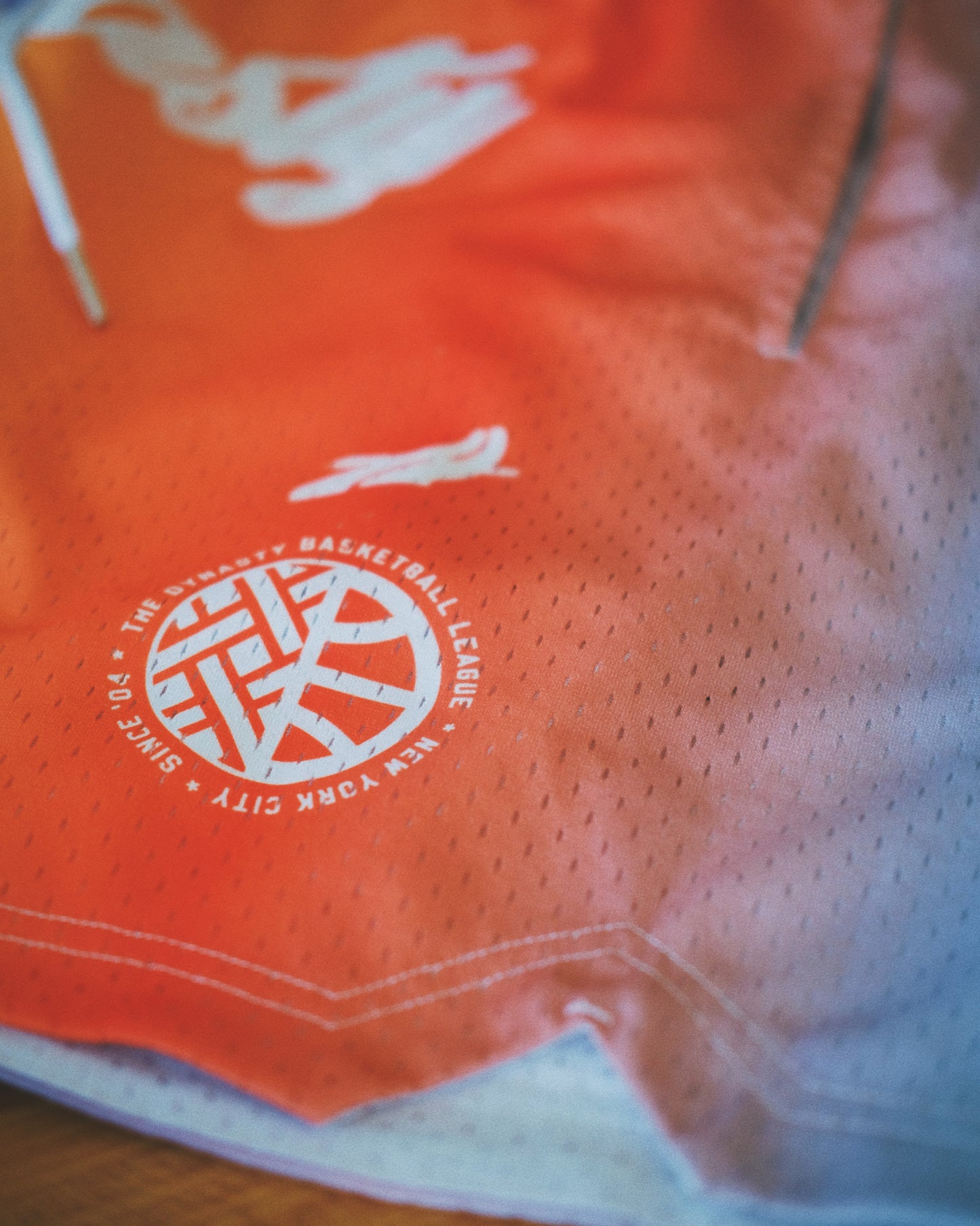 "Sherbert Dynasty" Drawstring Mesh Shorts