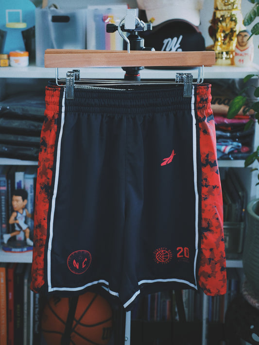 TDL Four Pillars "Community" Game Shorts