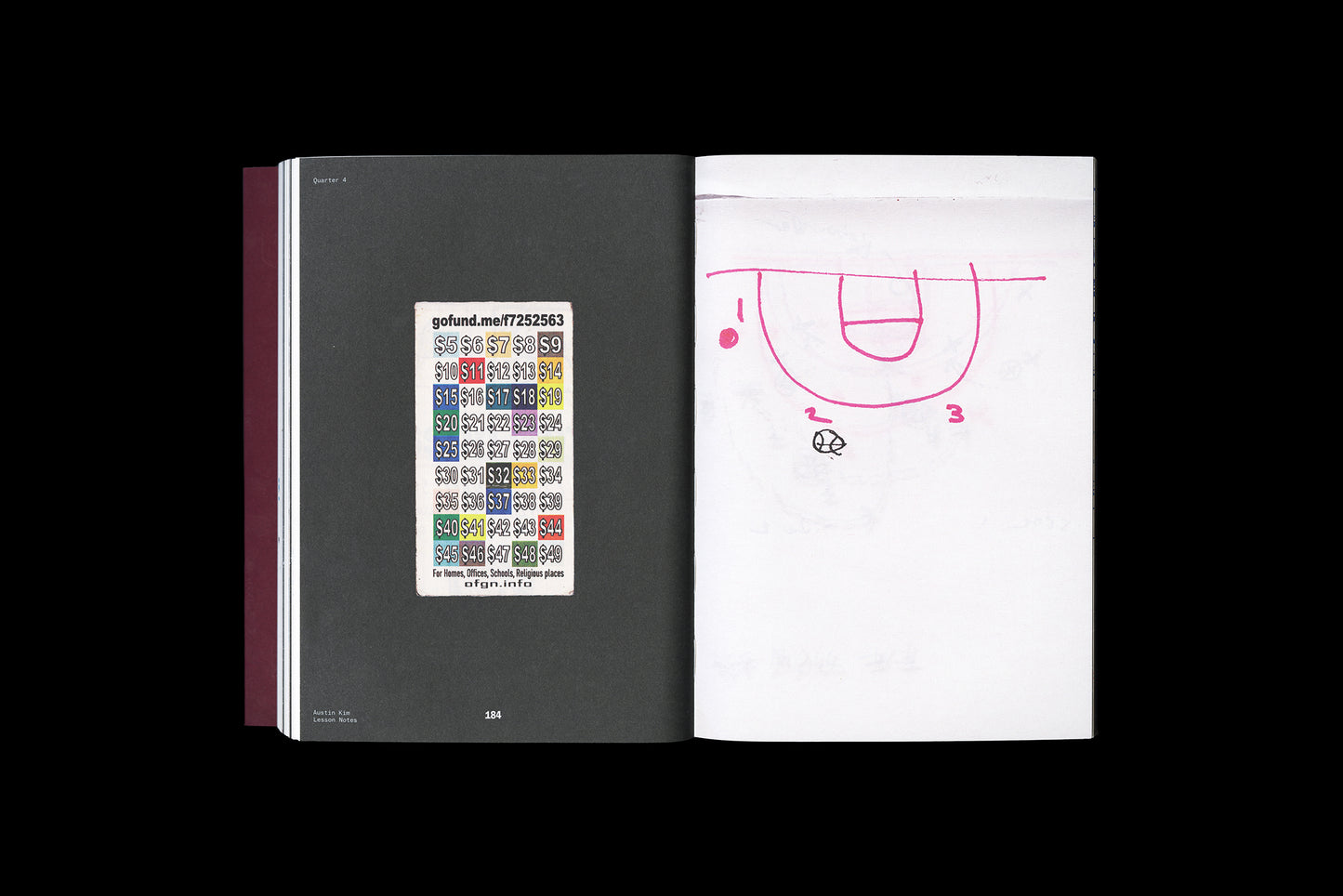 FLOATER: Blurring Basketball Lines